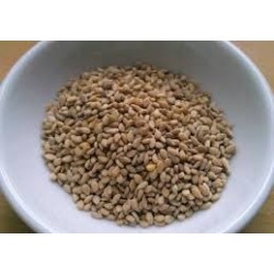 semillas de sésamo natural (250g)